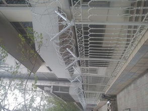 BTO 22不銹鋼滾刺籠廠 專業制造與廣泛應用