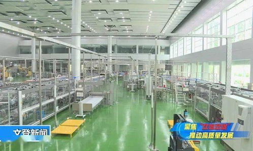 管家式服務助力健康生態飲品項目落地，網絡與信息安全軟件開發保駕護航